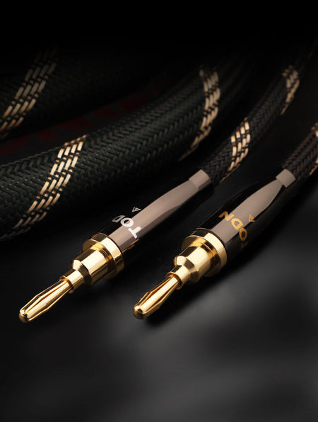 SPEAKER CABLES