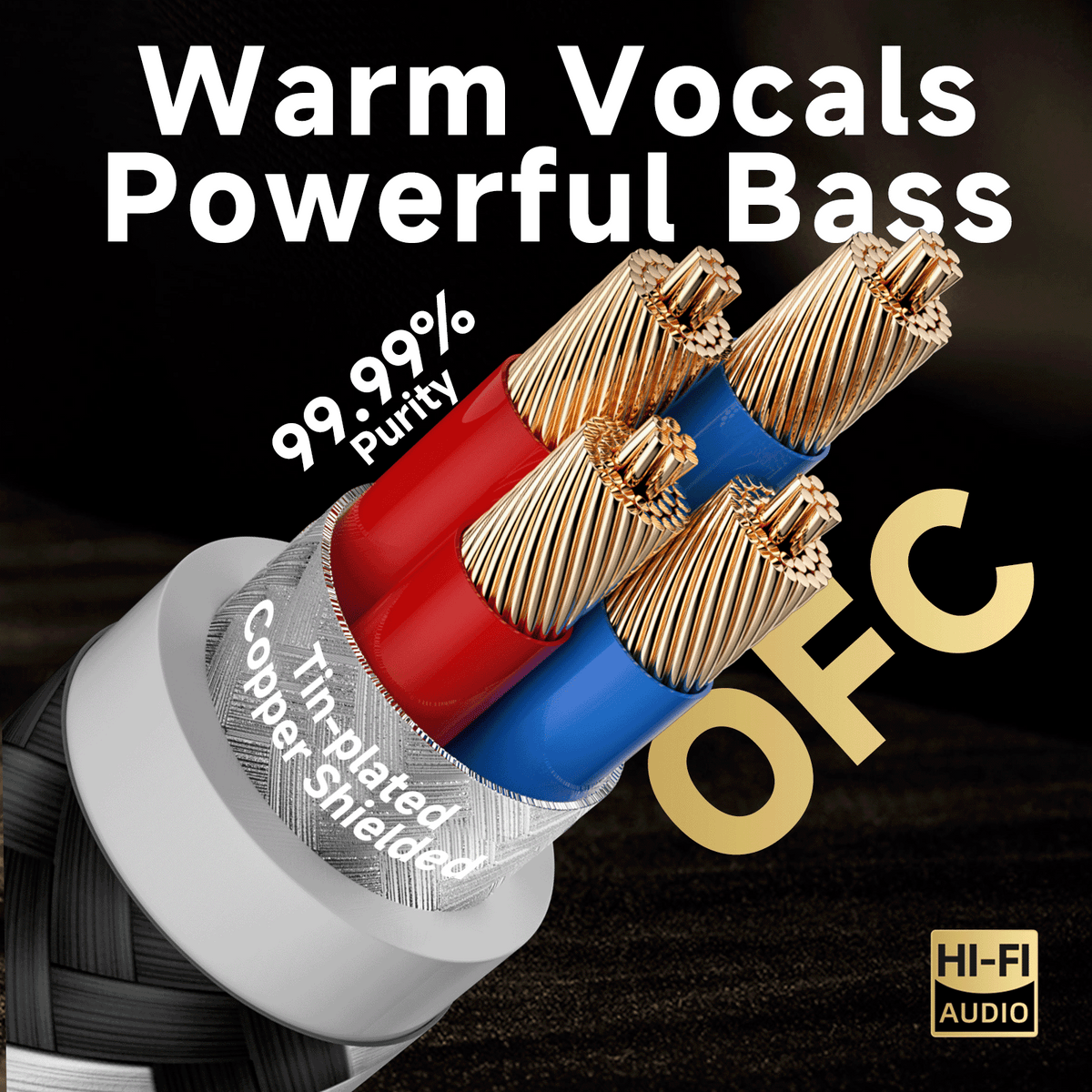 TODN Audiophile XLR Balanced Cable, Shielded Microphone Cable for Studio Recording and Live Performances, OFC Core, Male to Female