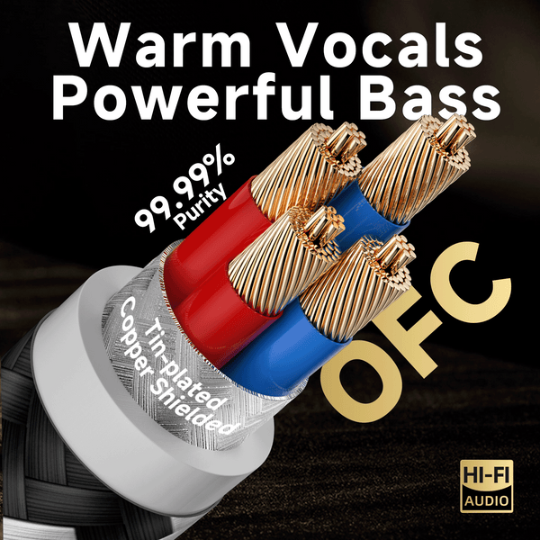 TODN Audiophile XLR Balanced Cable, Shielded Microphone Cable for Studio Recording and Live Performances, OFC Core, Male to Female