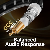 TODN Audiophile Digital Coaxial Audio Cable RCA to RCA Male Subwoofer Cable 75-Ohm SPDIF Coax with OCC-Core Dual Shielded for HiFi Systems