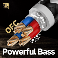 TODN RCA Cables Audiophile Male to Male Stereo Shielded HiFi OFC Car Audio RCA Cable for Sub, Amp, Phono (1 pair)
