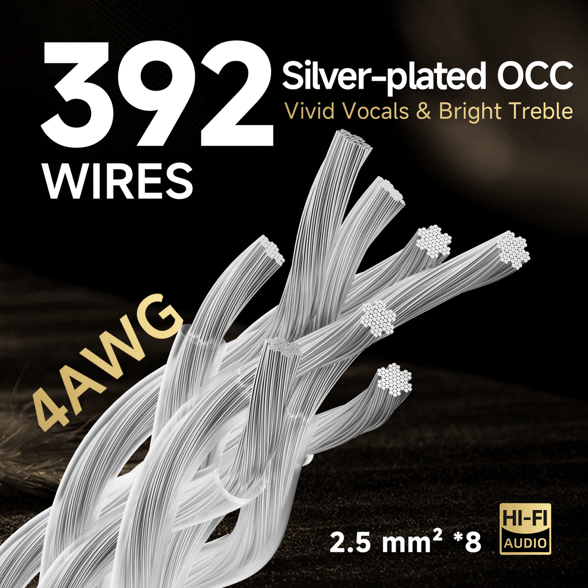 TODN Audiophile Power Cable 4 AWG HiFi Audio Power Cord with Silver-Plated O-C-C, Carbon Fiber Shell, Rhodium-Plated US Plug, Φ17.5mm