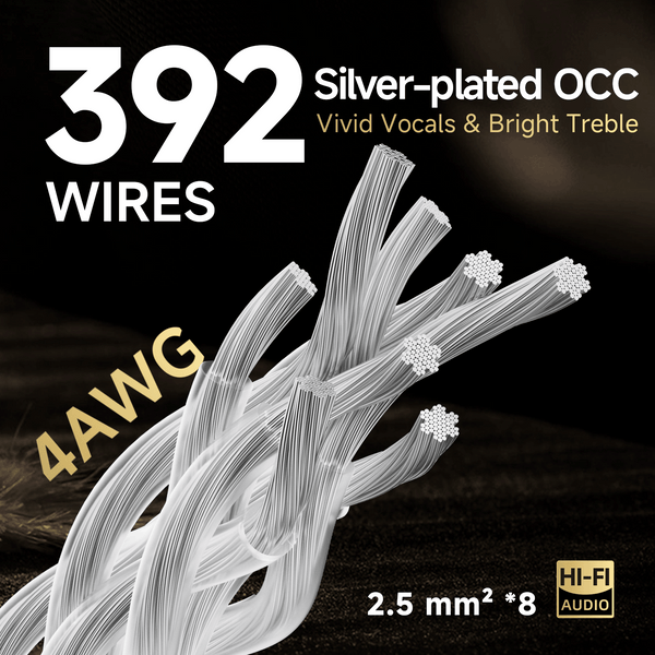 TODN Audiophile Power Cable 4 AWG HiFi Audio Power Cord with Silver-Plated O-C-C, Carbon Fiber Shell, Rhodium-Plated US Plug, Φ17.5mm
