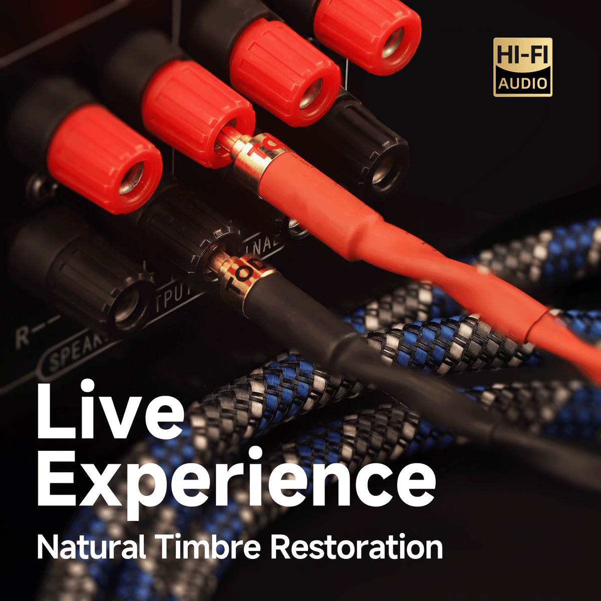 TODN HiFi Speaker Cable with Banana Plugs for Audiophile with OFC, 24K Gold-Plated Banana to Banana Plug
